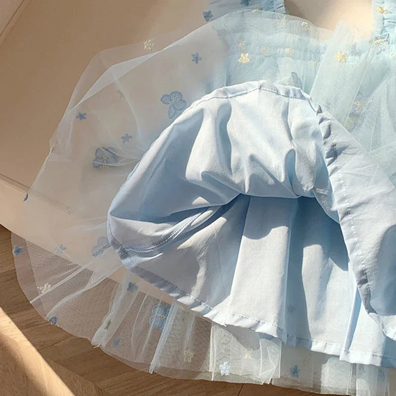 Girls’ Butterfly Tulle Princess Dress
